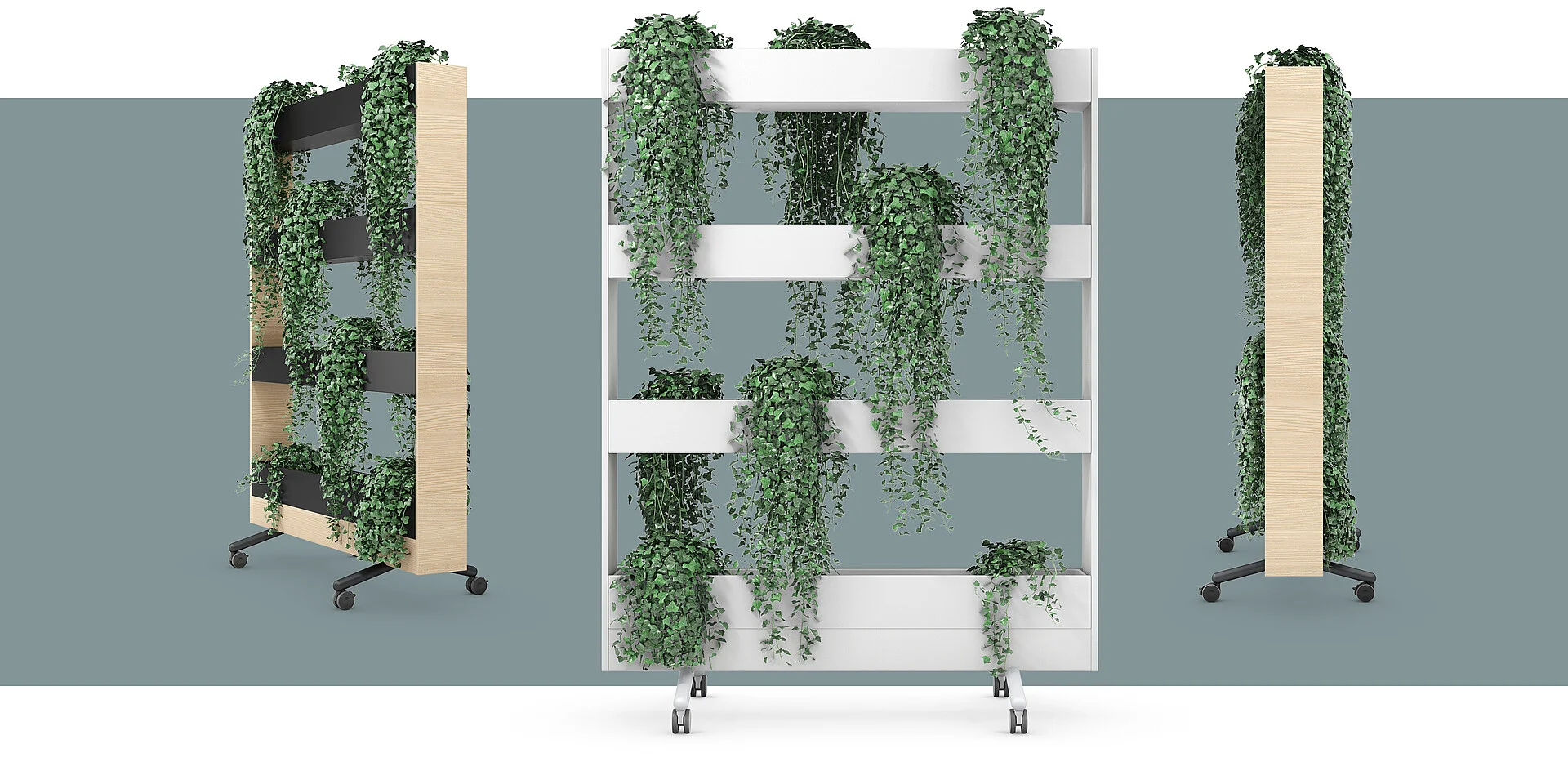 Mobilier pour créer des séparations et plantes