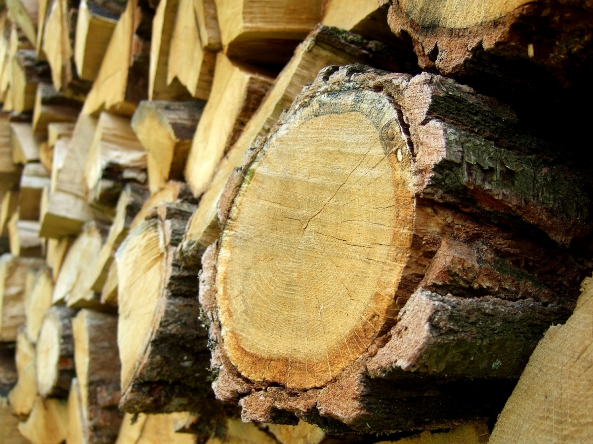 Matériau de qualité bois massif